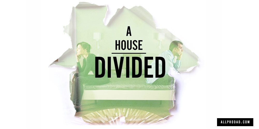 A House Divided All Pro Dad