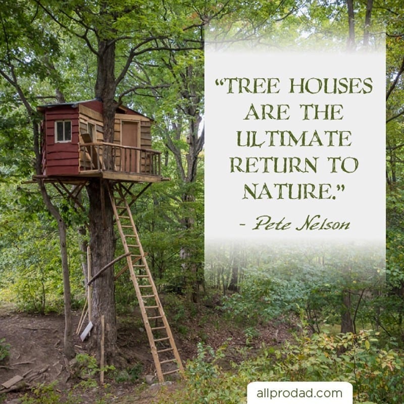 Dad Quotes - All Pro Dad : All Pro Dad