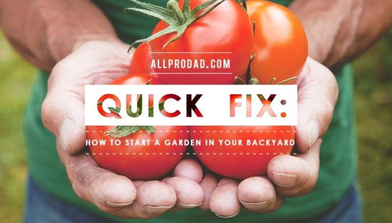 how to start a garden in your backyard