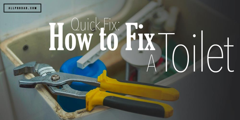 Quick Fix How to Fix a Toilet All Pro Dad